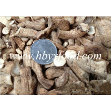 Hot Sale Dried Mushroom Leg with Halal Certificate